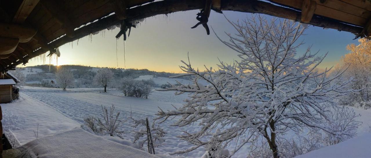 Moja Chata Do Wynajecia Istebna Kültér fotó