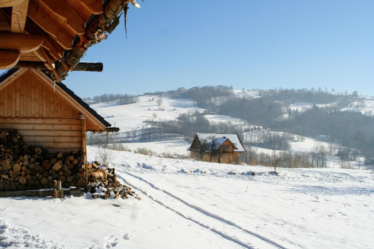 Moja Chata Do Wynajecia Istebna Kültér fotó